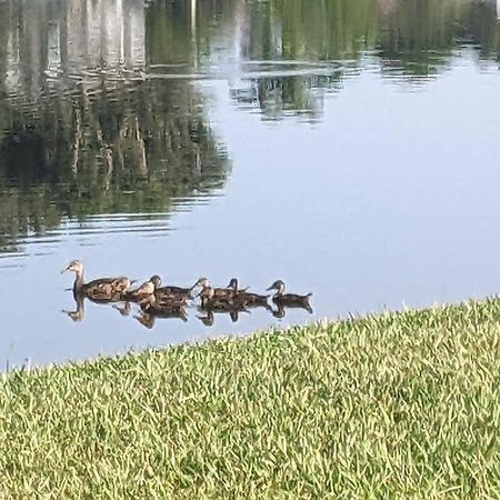 Port Saint Lucie A Little Piece Of Heaven- Peaceful Lake View Apartment- 1 Min From I95 And Turnpike Port St. Lucie Bagian luar foto