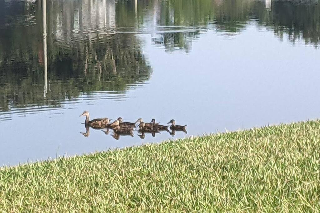 Port Saint Lucie A Little Piece Of Heaven- Peaceful Lake View Apartment- 1 Min From I95 And Turnpike Port St. Lucie Bagian luar foto