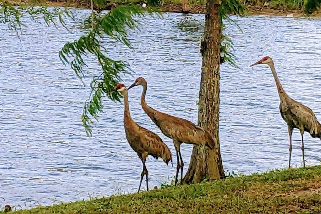 Port Saint Lucie A Little Piece Of Heaven- Peaceful Lake View Apartment- 1 Min From I95 And Turnpike Port St. Lucie Bagian luar foto